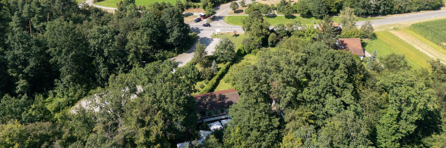 Luftbild mit Straße